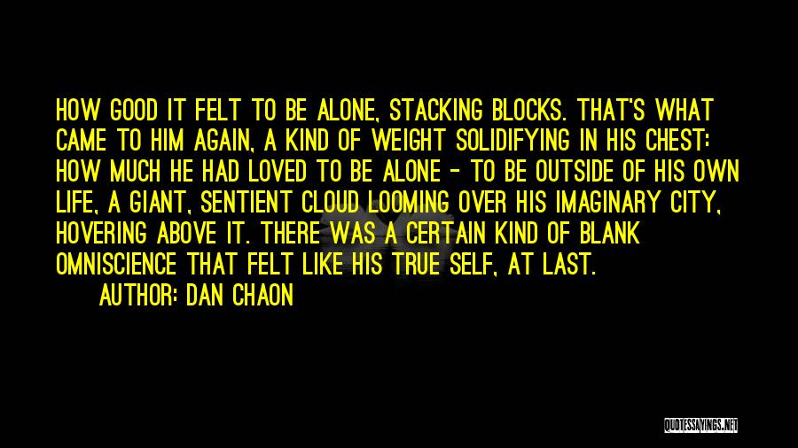 Stacking Quotes By Dan Chaon