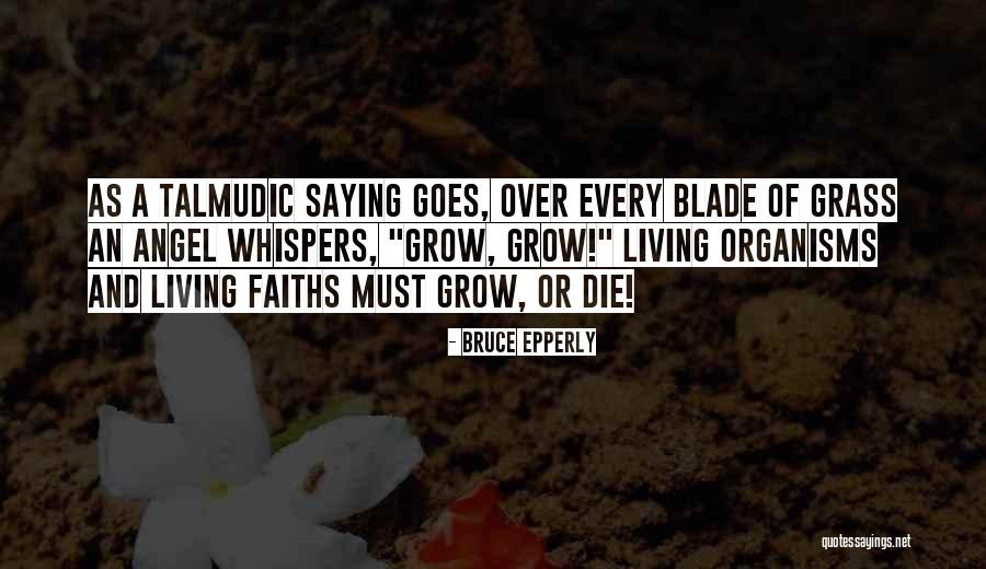 Stackoverflow Programming Quotes By Bruce Epperly Stackoverflow Programming Quotes By Bruce Epperly