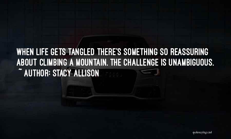 Stacy Allison Quotes 2133772