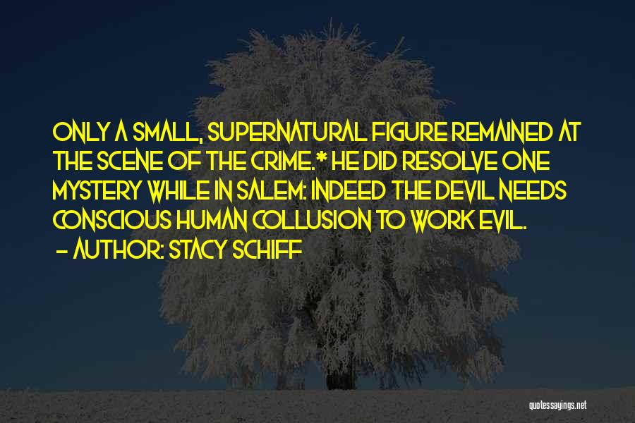 Stacy Schiff Quotes 1271140