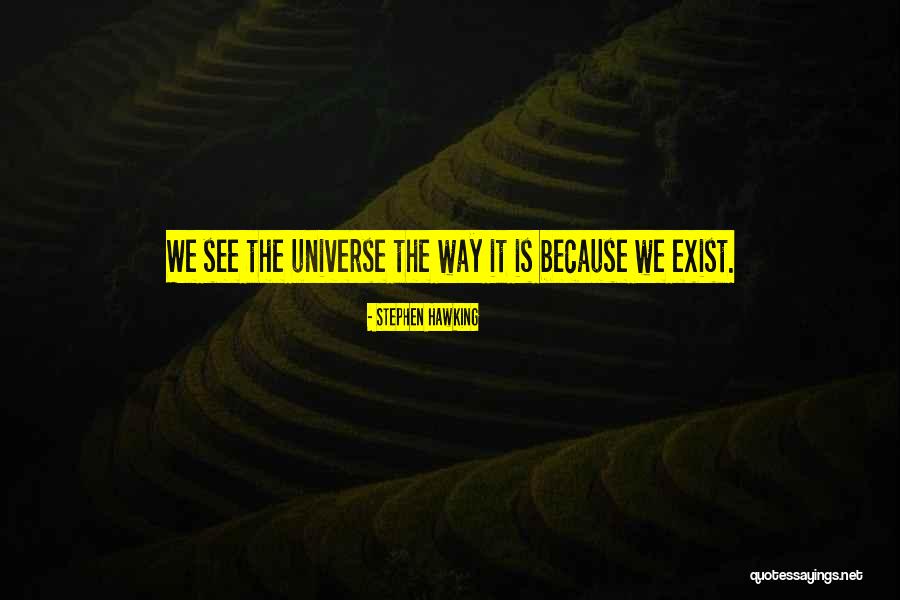 Stadden Landscape Quotes By Stephen Hawking Stadden Landscape Quotes By Stephen Hawking