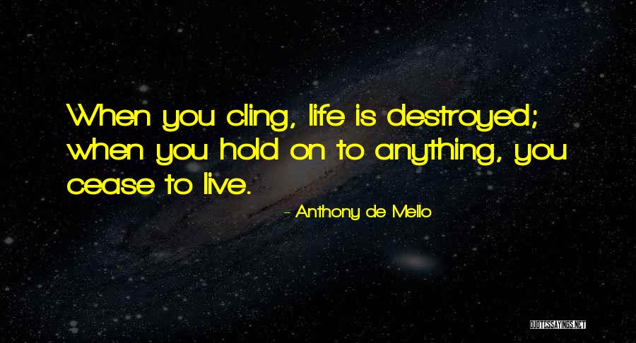 Stades Strawberry Quotes By Anthony De Mello Stades Strawberry Quotes By Anthony De Mello