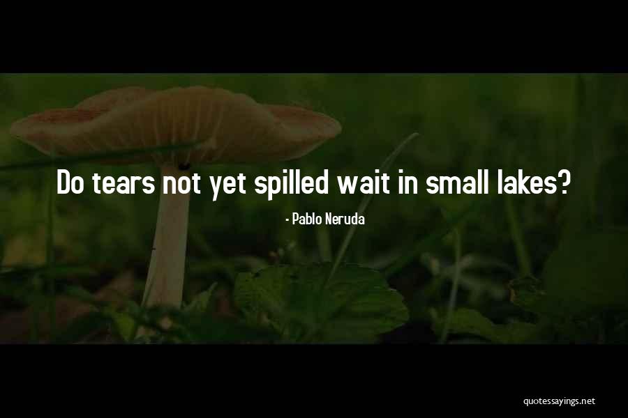 Staehle Fabricating Quotes By Pablo Neruda Staehle Fabricating Quotes By Pablo Neruda