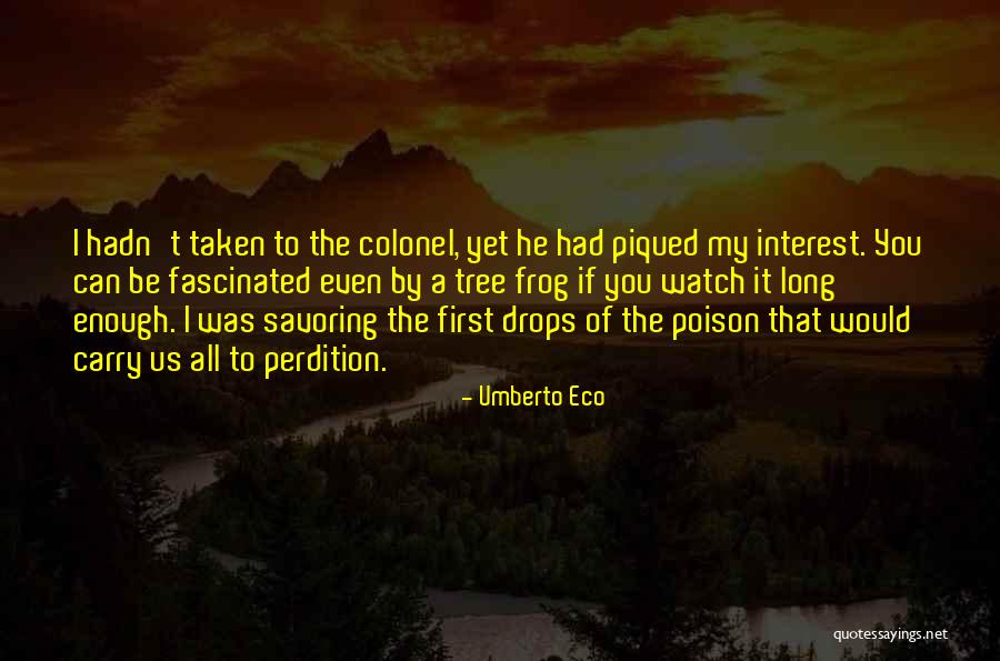 Staelens Kortrijk Quotes By Umberto Eco Staelens Kortrijk Quotes By Umberto Eco