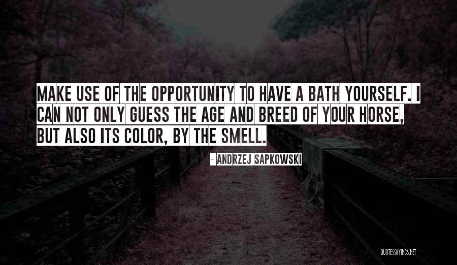 Staelens Recup Quotes By Andrzej Sapkowski Staelens Recup Quotes By Andrzej Sapkowski