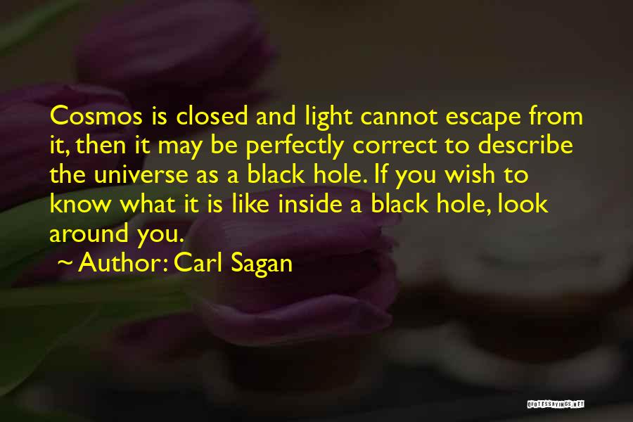 Staff Meeting Quotes By Carl Sagan