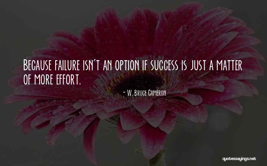 Staffetta In Inglese Quotes By W. Bruce Cameron Staffetta In Inglese Quotes By W. Bruce Cameron