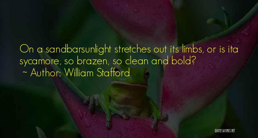 Stafford Quotes By William Stafford