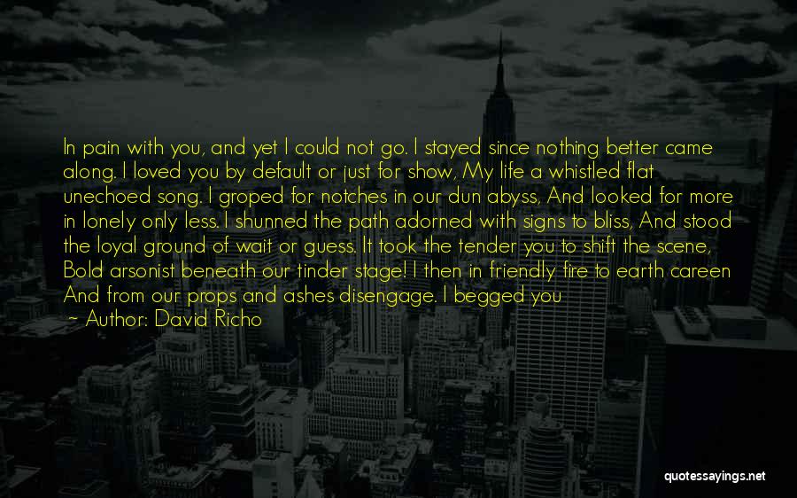 Stage Fear Quotes By David Richo