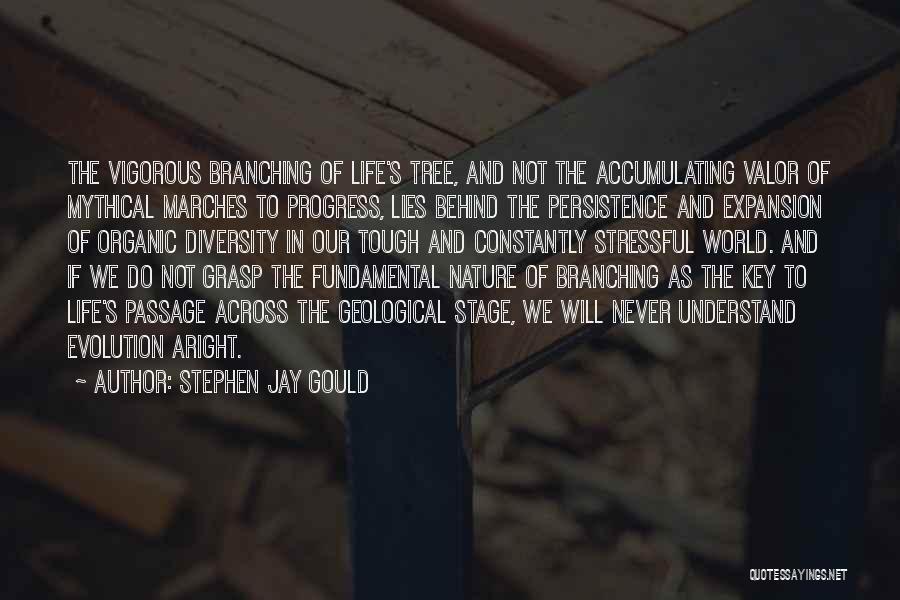 Stage In Life Quotes By Stephen Jay Gould