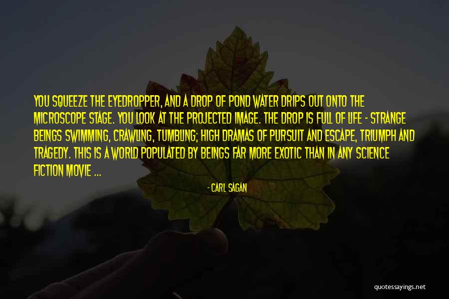 Stage In Microscope Quotes By Carl Sagan Stage In Microscope Quotes By Carl Sagan