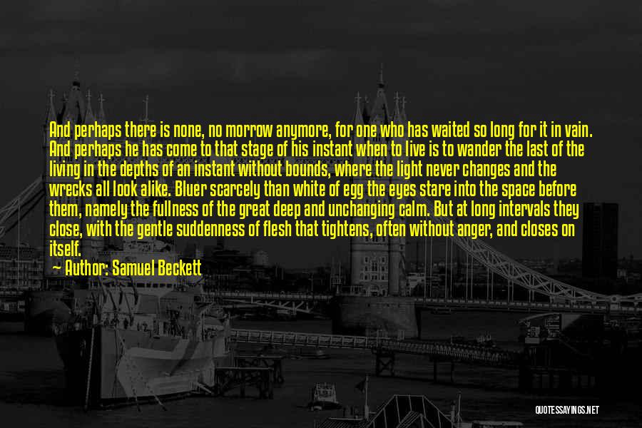 Stage Light Quotes By Samuel Beckett