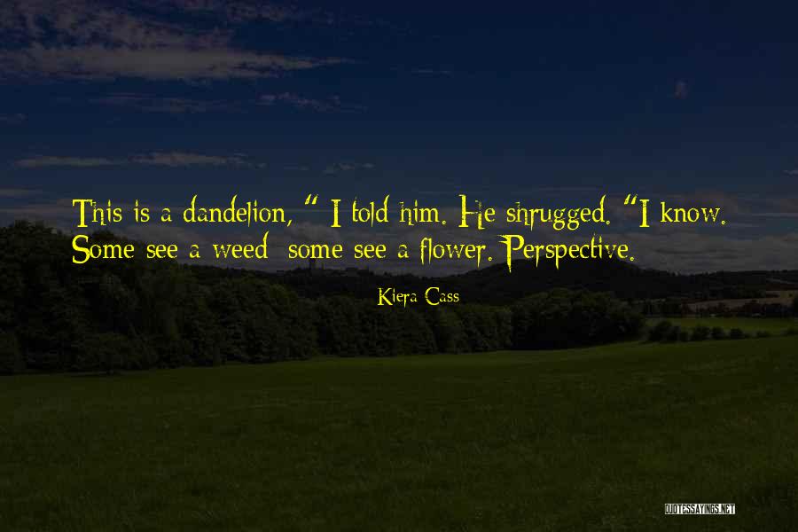 Stagehands Quotes By Kiera Cass Stagehands Quotes By Kiera Cass