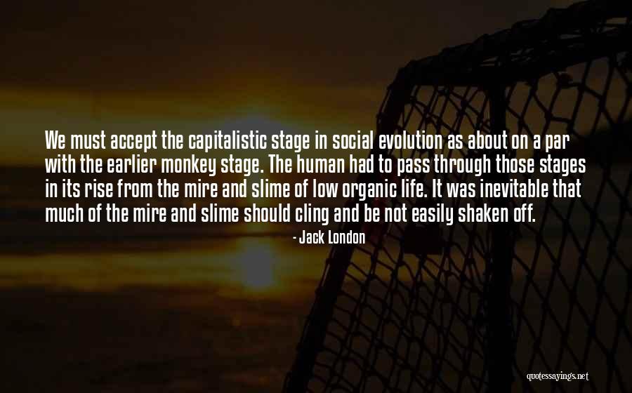 Stages In Life Quotes By Jack London Stages In Life Quotes By Jack London