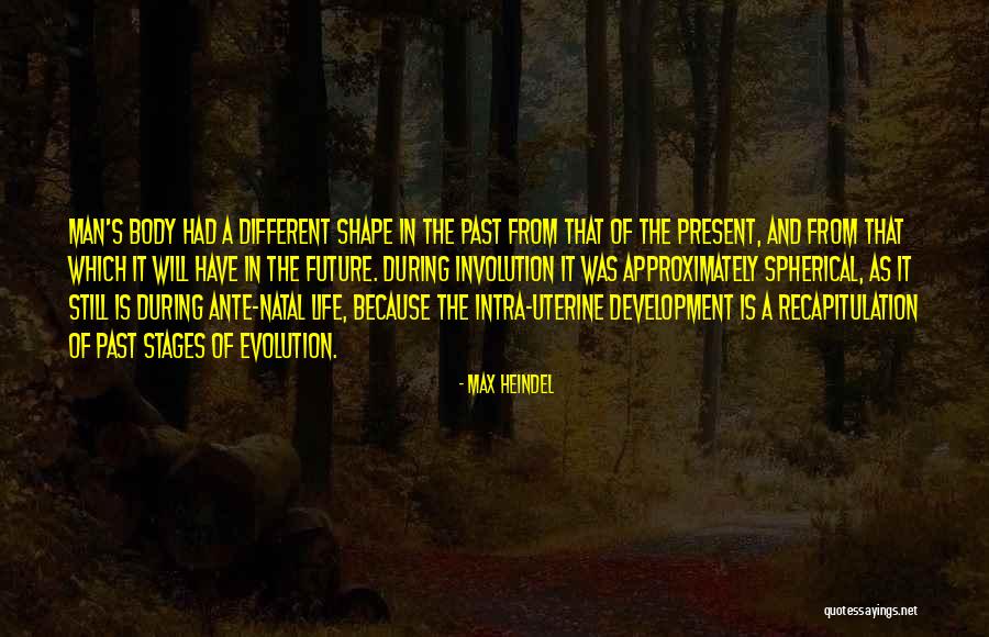 Stages In Life Quotes By Max Heindel Stages In Life Quotes By Max Heindel