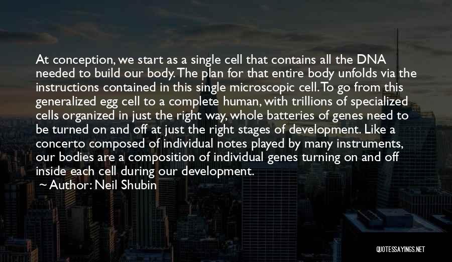 Stages Of Development Quotes By Neil Shubin