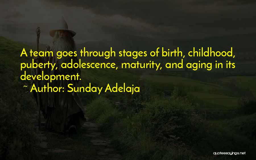 Stages Of Development Quotes By Sunday Adelaja