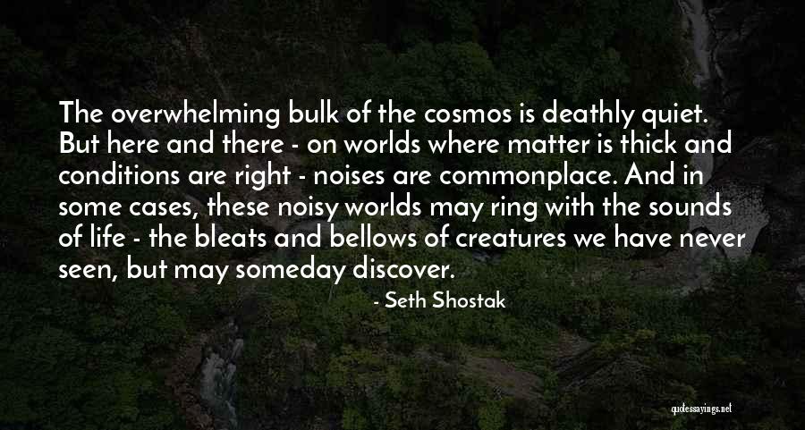 Staghorns Quotes By Seth Shostak Staghorns Quotes By Seth Shostak