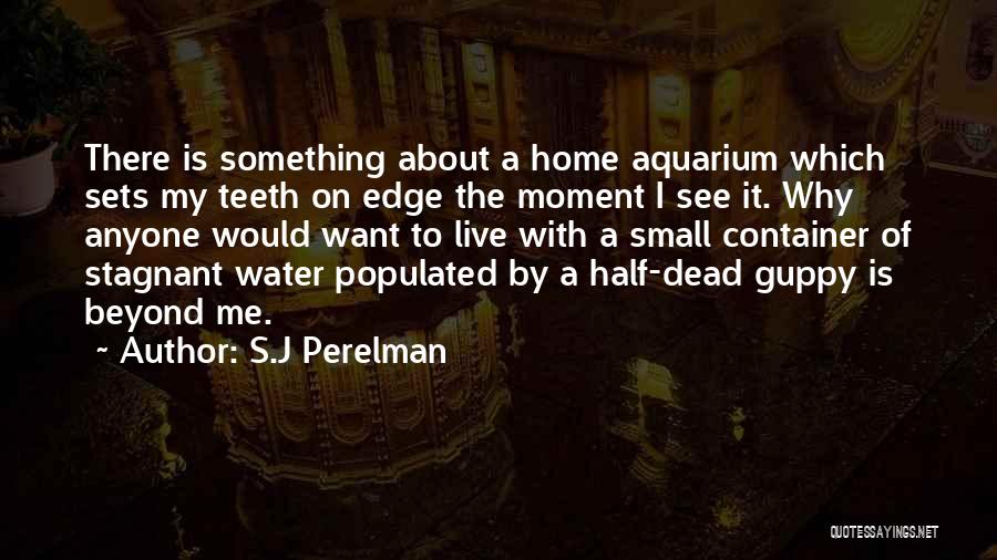 Stagnant Quotes By S.J Perelman