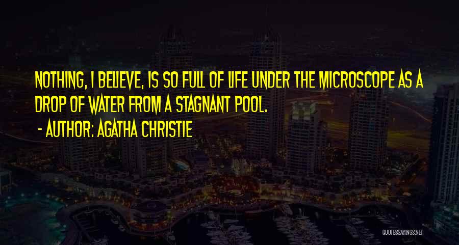 Stagnant Water Quotes By Agatha Christie