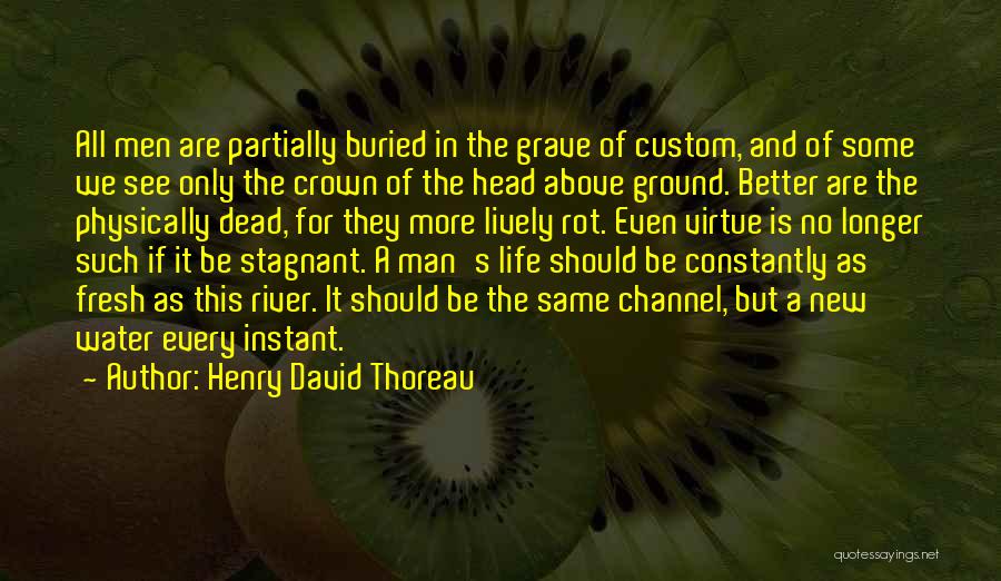 Stagnant Water Quotes By Henry David Thoreau