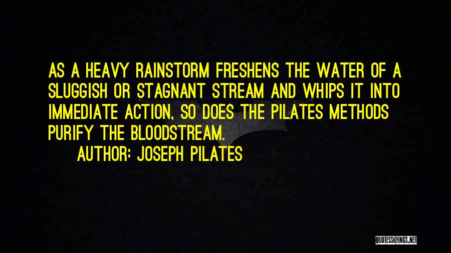 Stagnant Water Quotes By Joseph Pilates