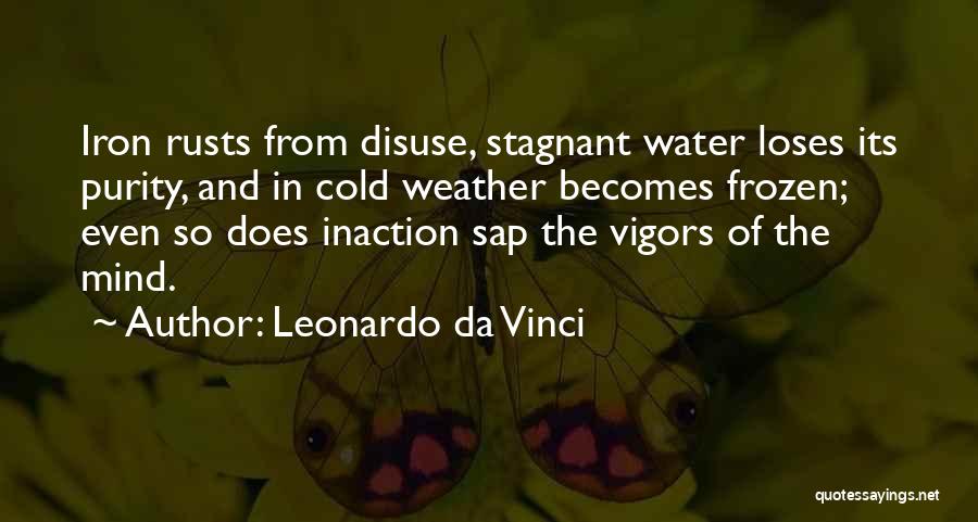 Stagnant Water Quotes By Leonardo Da Vinci