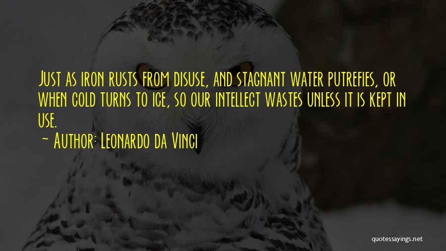 Stagnant Water Quotes By Leonardo Da Vinci