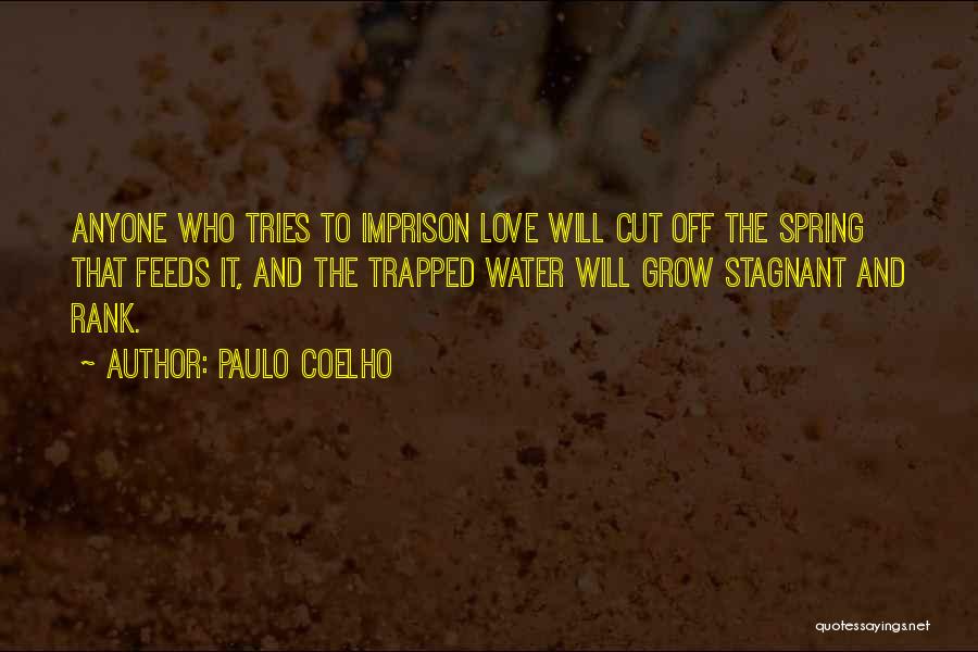 Stagnant Water Quotes By Paulo Coelho