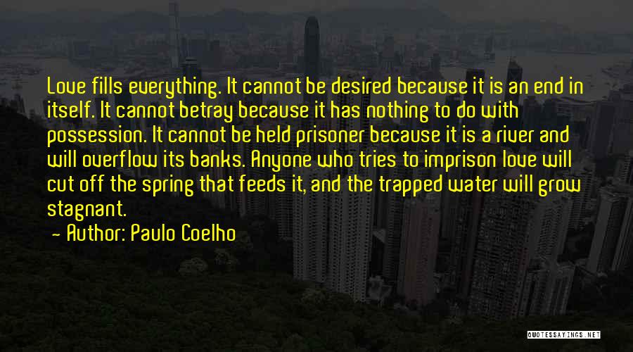 Stagnant Water Quotes By Paulo Coelho