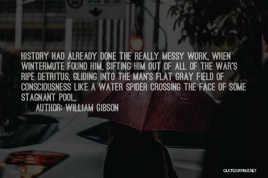 Stagnant Water Quotes By William Gibson