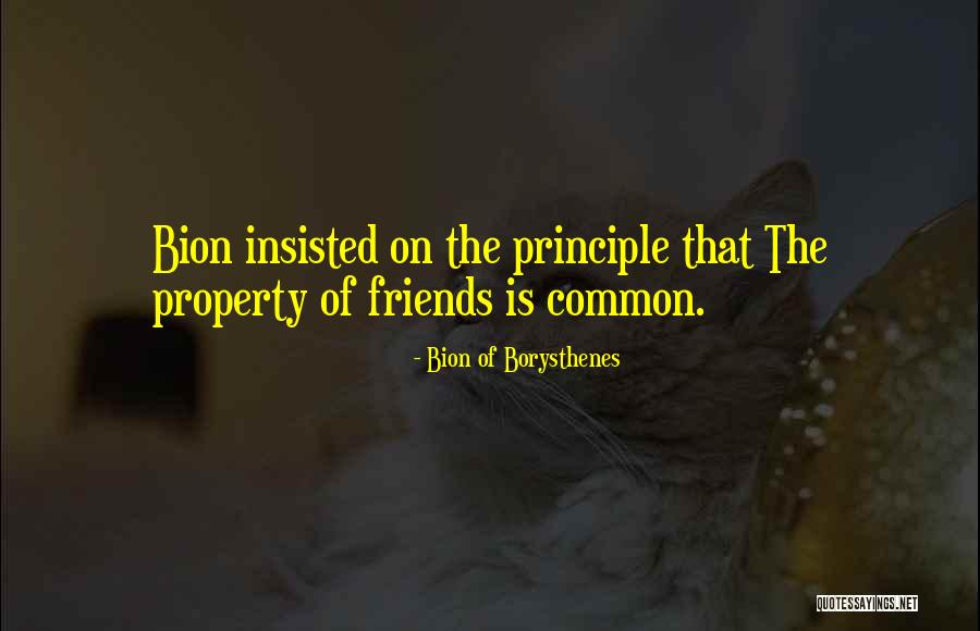 Stagnone Quotes By Bion Of Borysthenes Stagnone Quotes By Bion Of Borysthenes