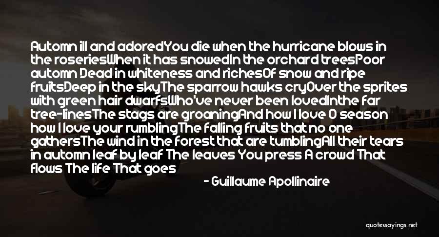 Stags Life Quotes By Guillaume Apollinaire