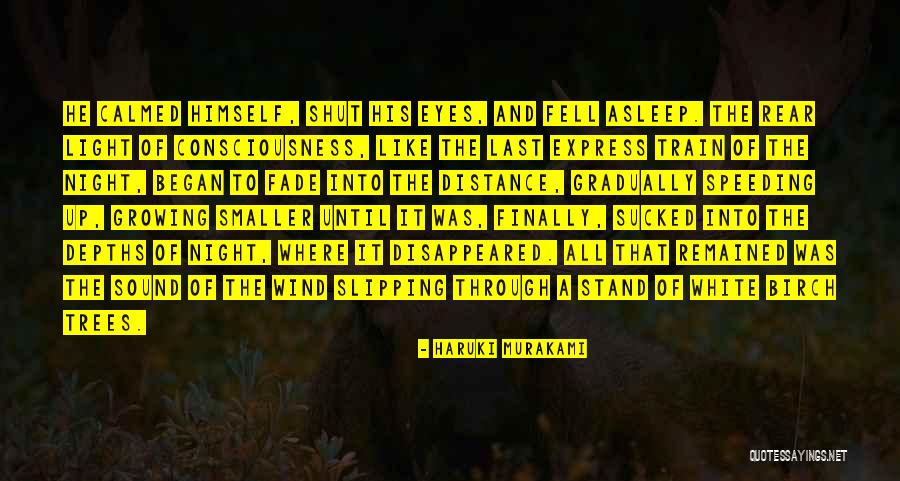 Stahlmann Band Quotes By Haruki Murakami Stahlmann Band Quotes By Haruki Murakami