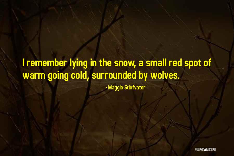 Stahmann Farms Quotes By Maggie Stiefvater Stahmann Farms Quotes By Maggie Stiefvater
