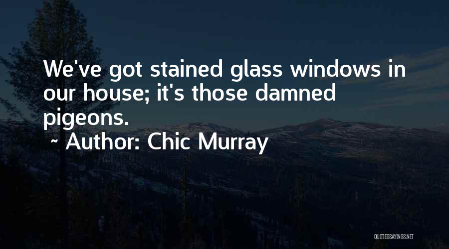 Stained Glass Quotes By Chic Murray