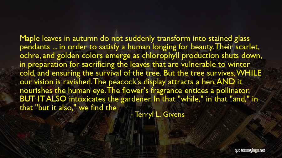 Stained Glass Quotes By Terryl L. Givens Stained Glass Quotes By Terryl L. Givens