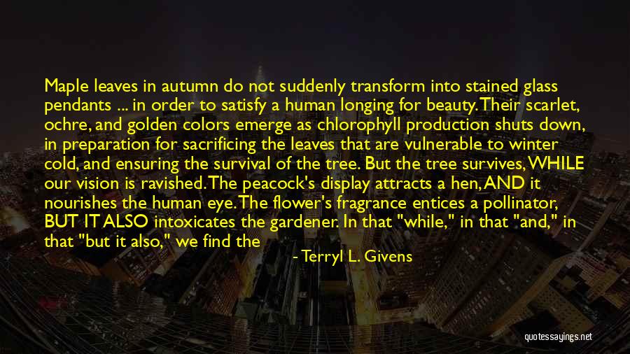 Stained Glass Quotes By Terryl L. Givens