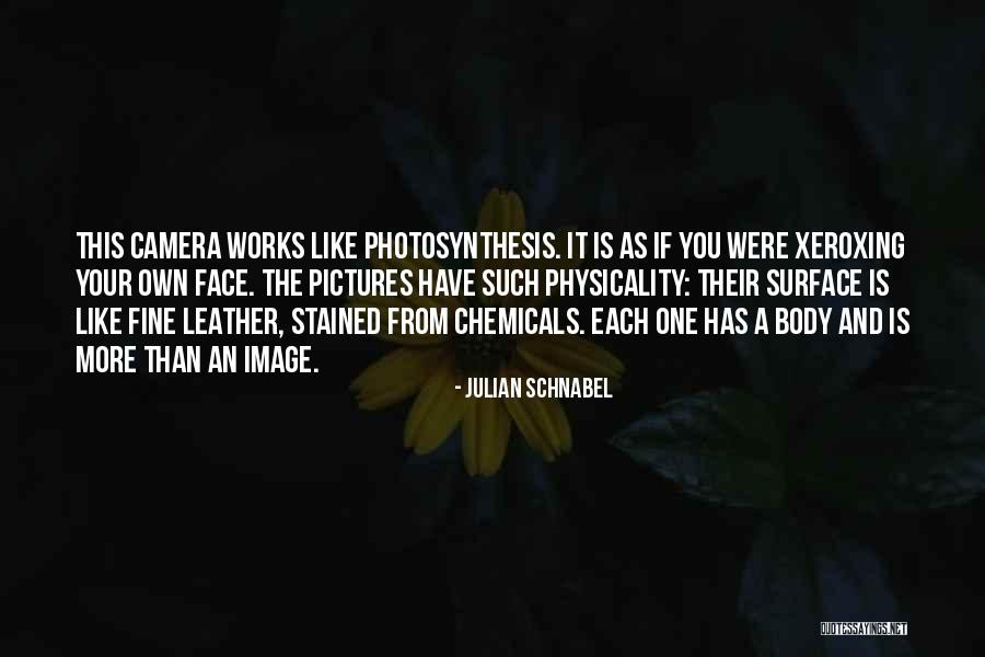 Stained Quotes By Julian Schnabel Stained Quotes By Julian Schnabel