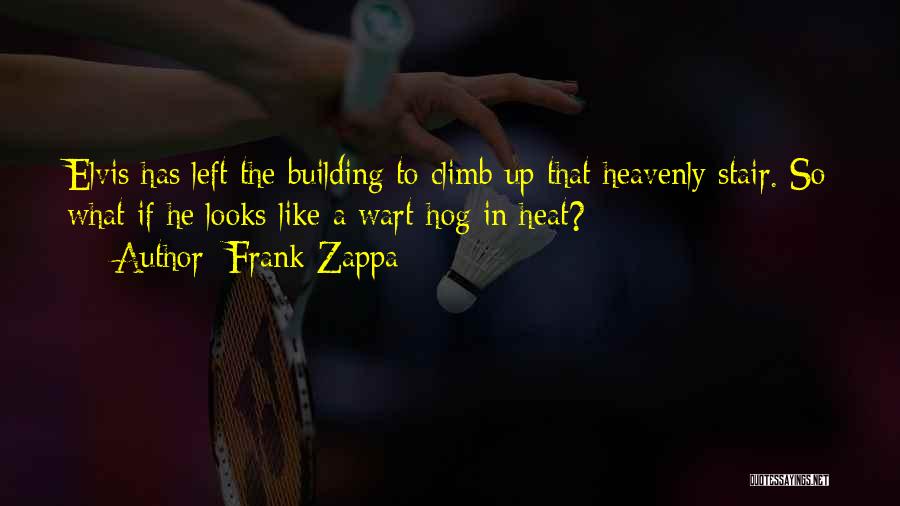 Stair Up Quotes By Frank Zappa