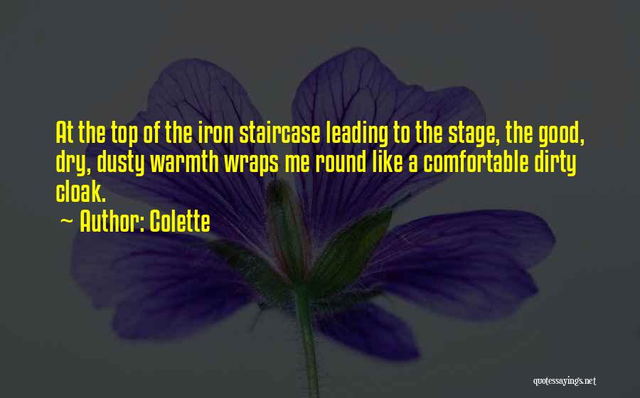 Staircase Quotes By Colette