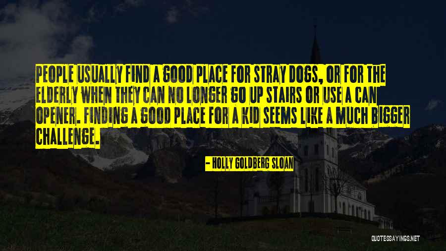 Stairs Or Quotes By Holly Goldberg Sloan Stairs Or Quotes By Holly Goldberg Sloan