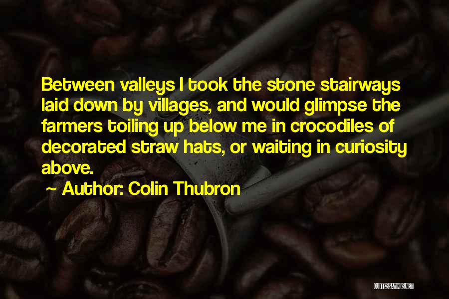 Stairways Quotes By Colin Thubron