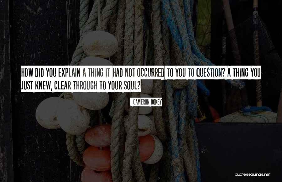 Staish Quotes By Cameron Dokey Staish Quotes By Cameron Dokey