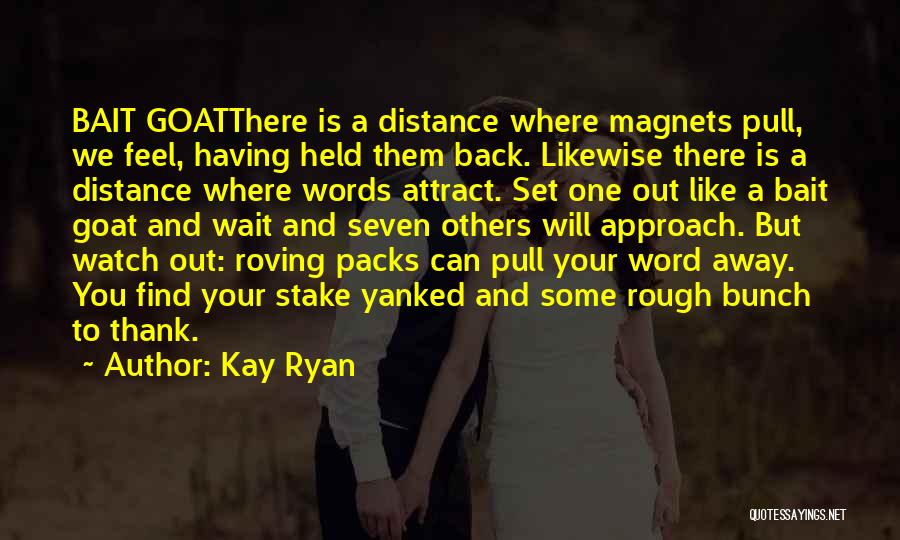 Stake Out Quotes By Kay Ryan