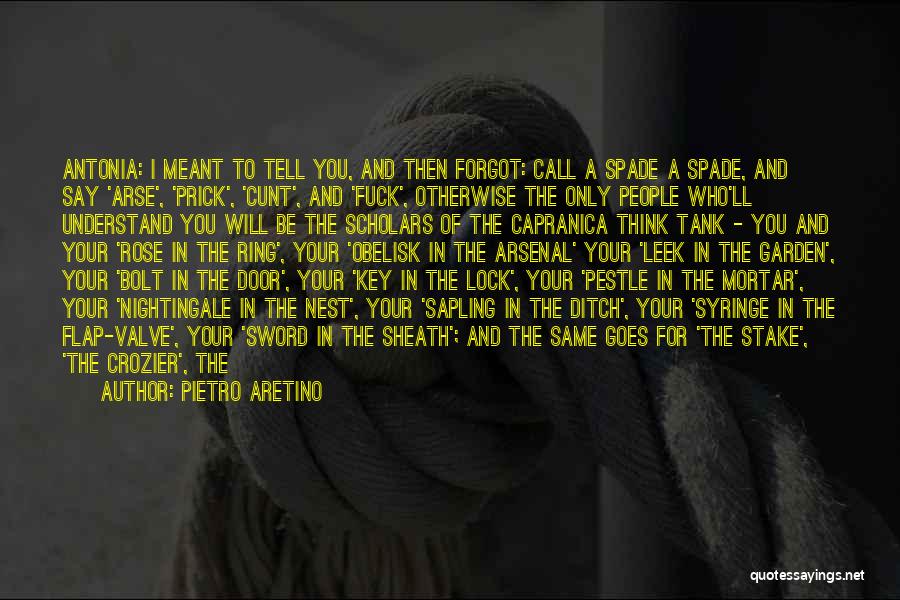 Stake Out Quotes By Pietro Aretino