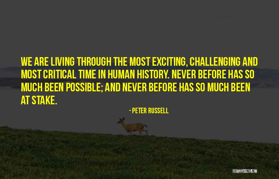 Stakes Quotes By Peter Russell