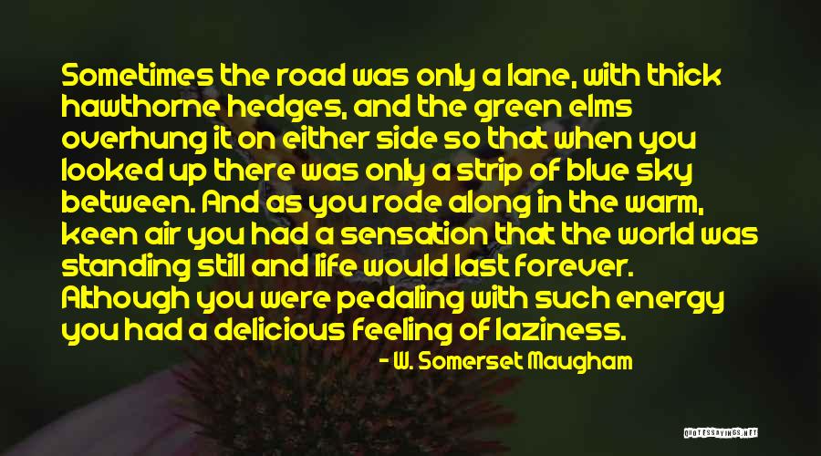 Stalina General Services Quotes By W. Somerset Maugham Stalina General Services Quotes By W. Somerset Maugham