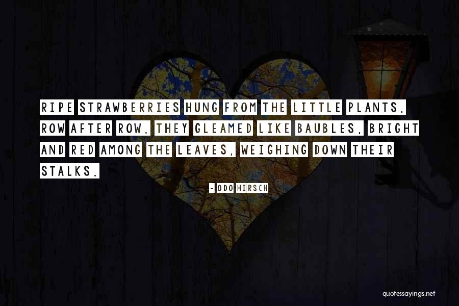 Stalks Quotes By Odo Hirsch Stalks Quotes By Odo Hirsch