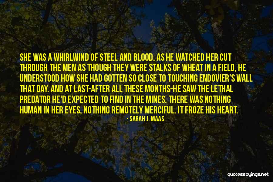 Stalks Quotes By Sarah J. Maas Stalks Quotes By Sarah J. Maas